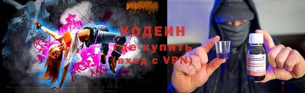 ГАЛЛЮЦИНОГЕННЫЕ ГРИБЫ Ельня