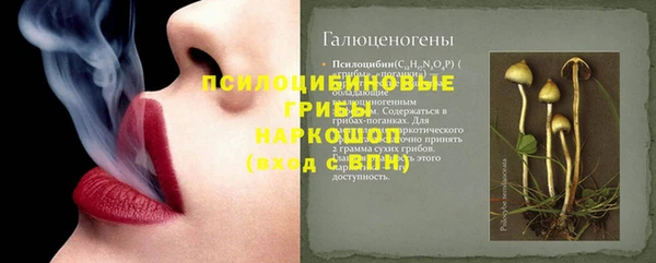 спайс Елизово