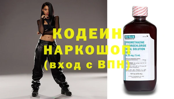 ГАЛЛЮЦИНОГЕННЫЕ ГРИБЫ Ельня