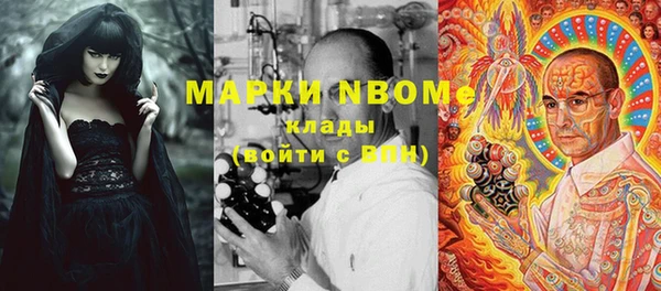 дмт Елабуга