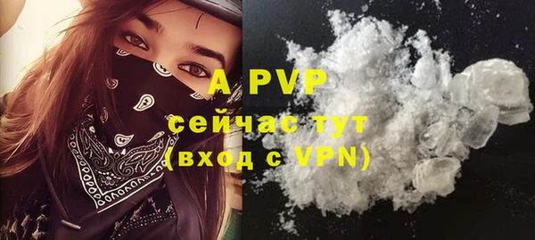 дмт Елабуга