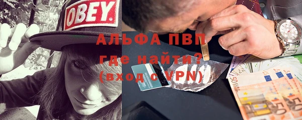 ГАЛЛЮЦИНОГЕННЫЕ ГРИБЫ Ельня