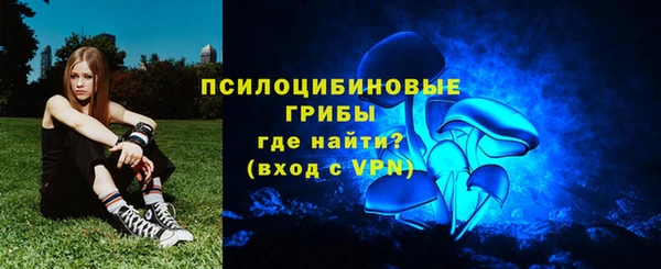 спайс Елизово