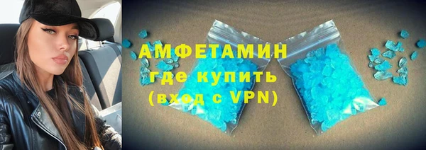ГАЛЛЮЦИНОГЕННЫЕ ГРИБЫ Ельня
