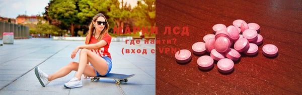 ГАЛЛЮЦИНОГЕННЫЕ ГРИБЫ Ельня