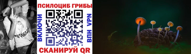Псилоцибиновые грибы GOLDEN TEACHER  Купить  Мелеуз 
